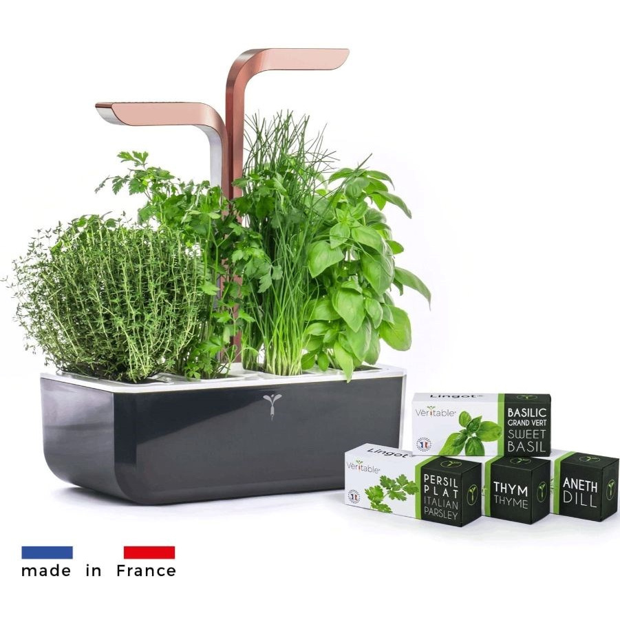 Véritable SMART mit Lichtsteuerung - schwarz + 4 Kräuterminen