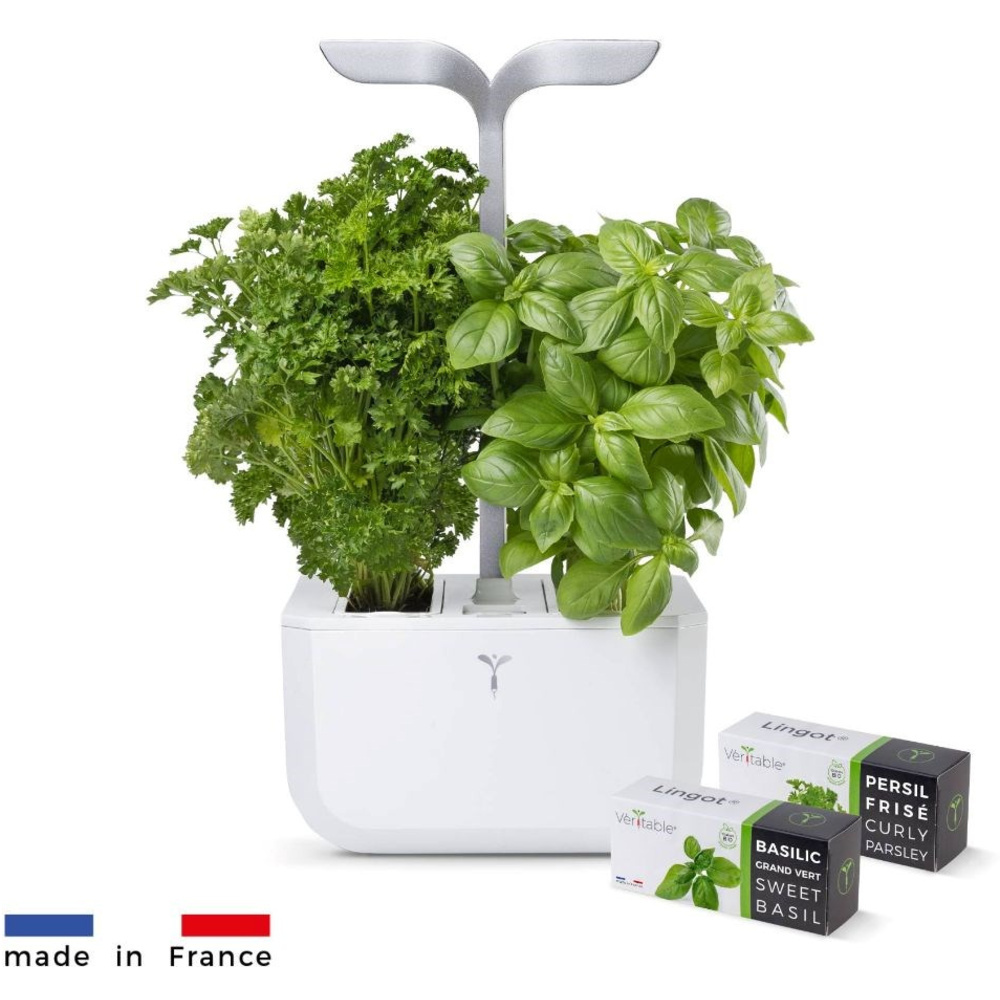Véritable Exky SMART - weiß + 2 Kräuterminen
