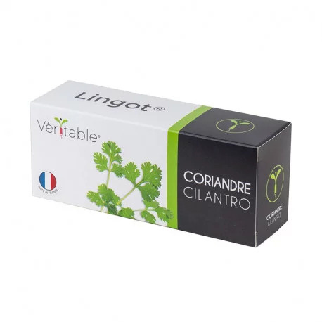 Véritable Lingot Koriander
