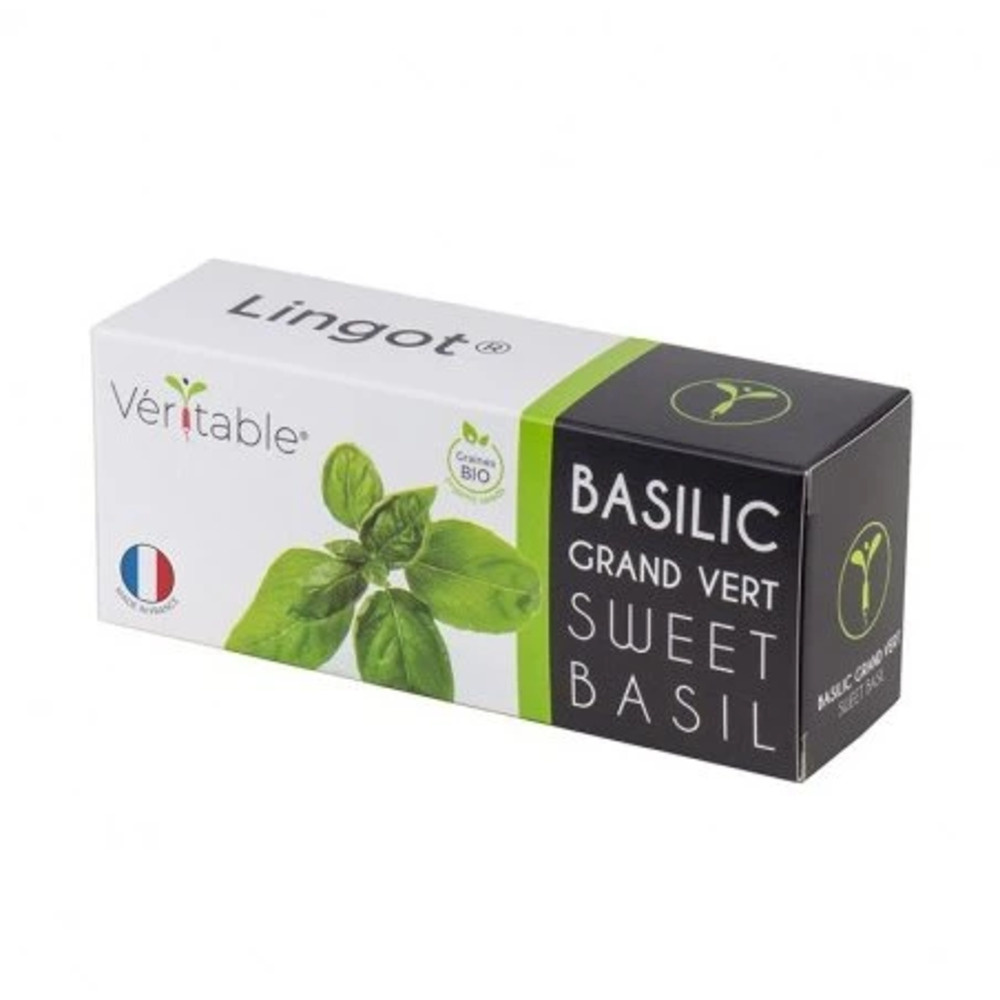 Véritable Lingot Süßes Basilikum - Bio