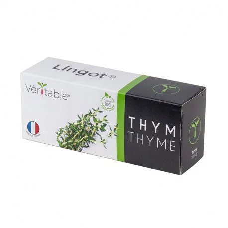 Essbarer Lingot-Thymian - BIO