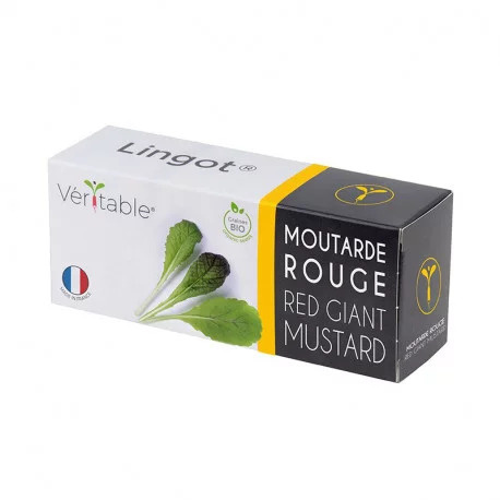 Véritable Lingot Rotblättriger Senf - BIO