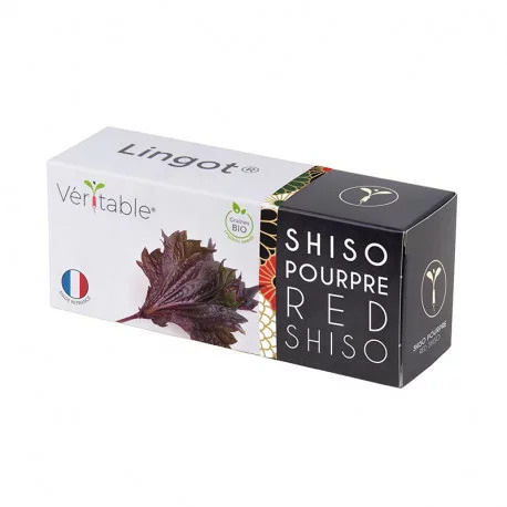 Véritable Lingot Lila Shiso - BIO