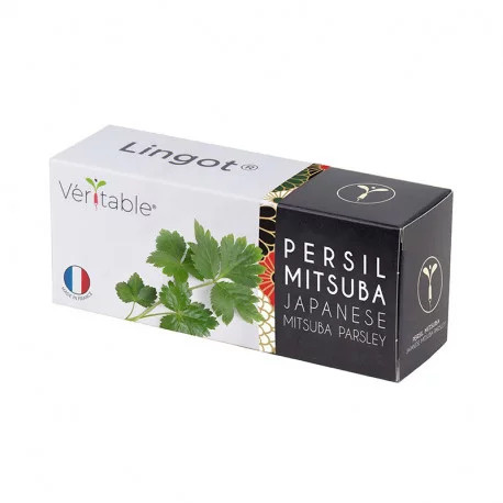Véritable Lingot Japanische Petersilie Mitsuba