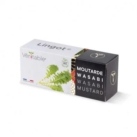 Véritable Lingot Wasabi-Senf - BIO