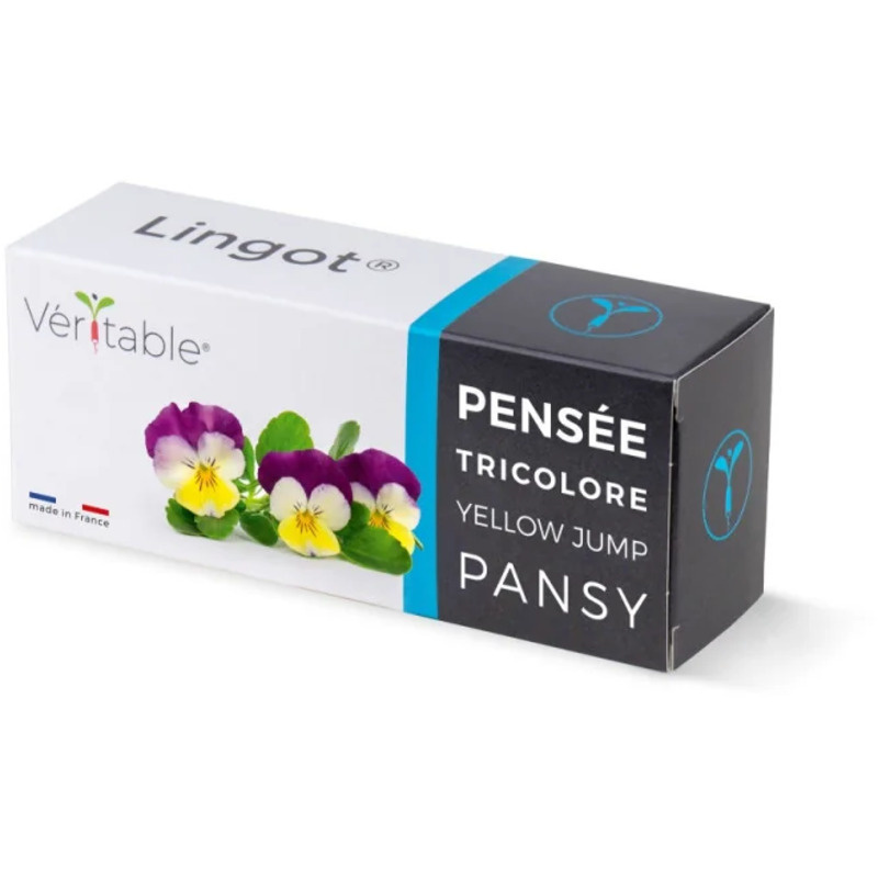 Véritable Lingot Stiefmütterchen - BIO