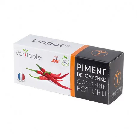 Véritable Lingot Cayenne Chili scharf