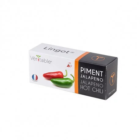 Véritable Lingot Jalapeño Chilischote