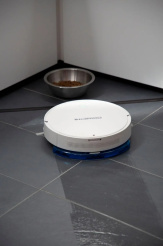 Rowenta RR7267WH Explorer Serie 40 - white