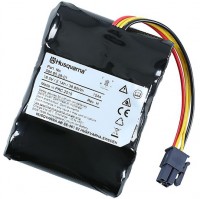 Batterie Li-Ion 2100 mAh