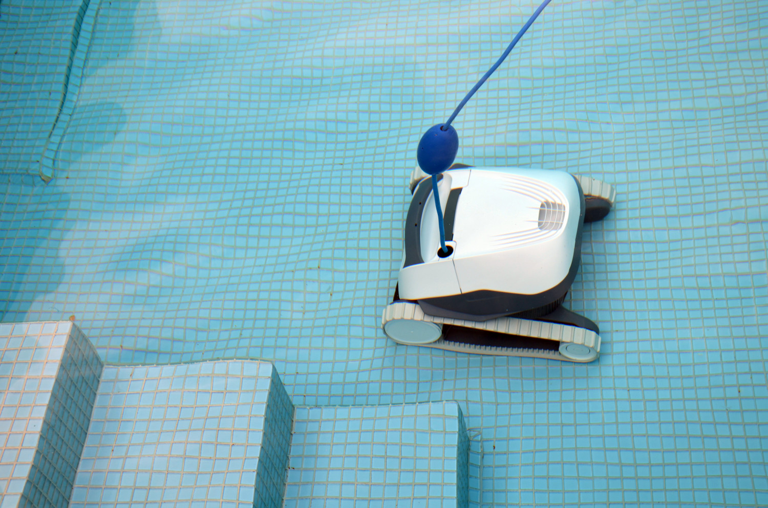 Dolphin E10 