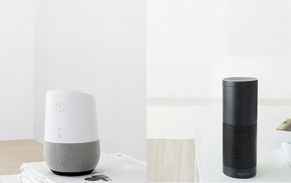 Steuerung via Amazon Echo und Google Home