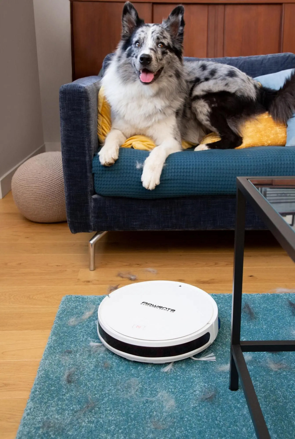 Perfektes Design für Tierbesitzer